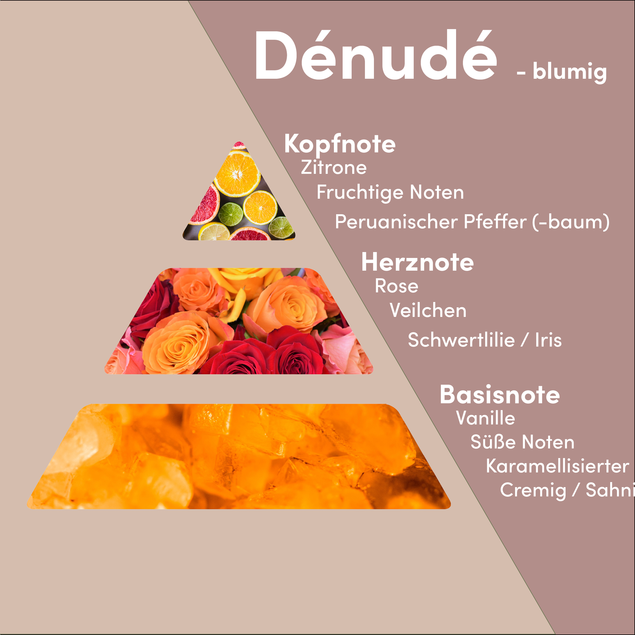 Dénudé