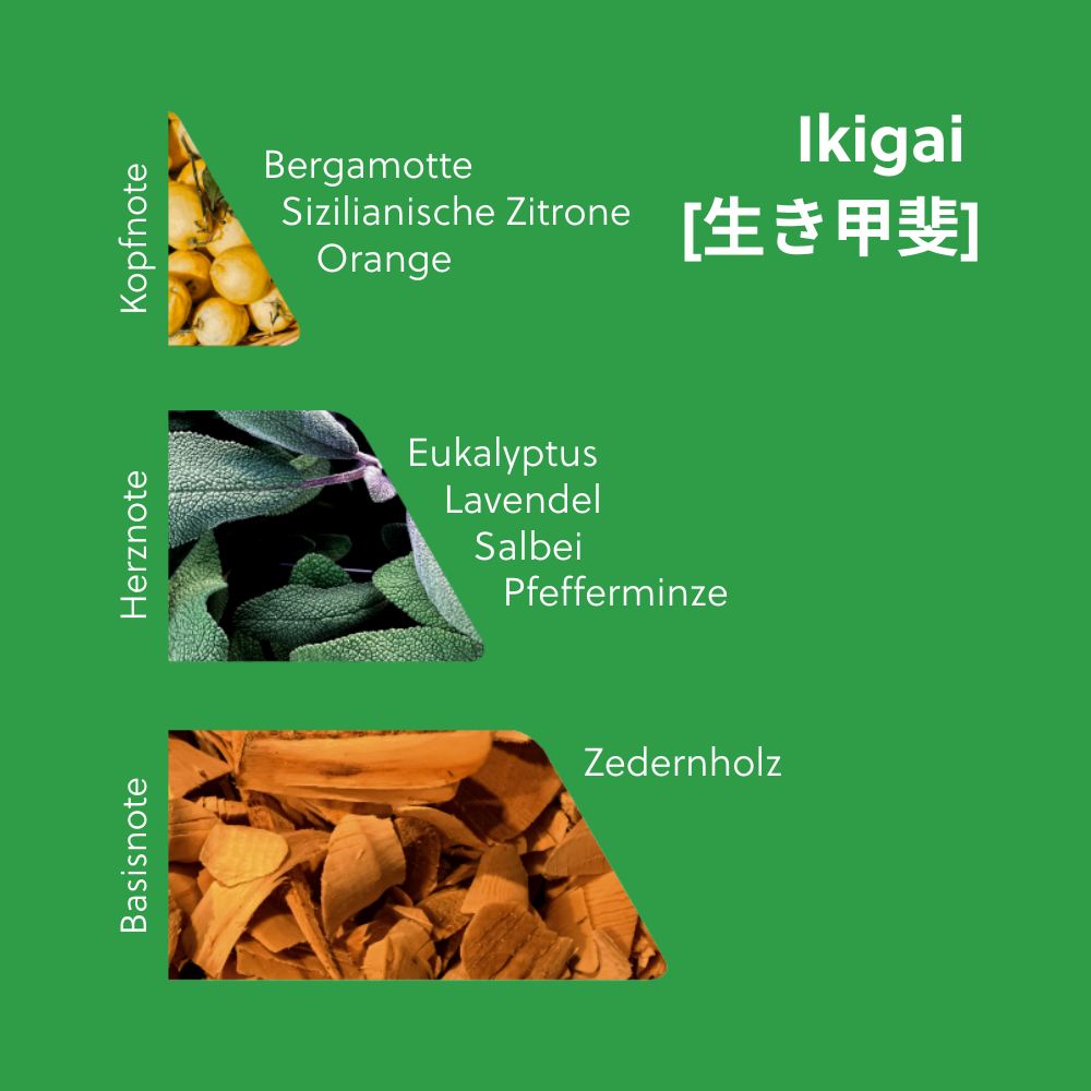 Ikigai [生き甲斐]